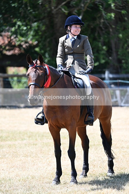 WJ7_3197 - Class 7 Riding Club Show Horse
