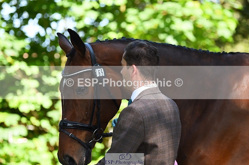 230524-154528-00480 - 365-BWE_NEWTON_DE_JASPER-Adam_Harvey-WEDTrotUp+DR