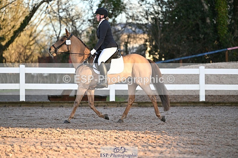 250125-090216-00008 - Dressage - CT Class 1 & 2 Intro 1