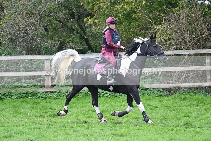 WJ7_8712 - Time 12:12 to 12:37