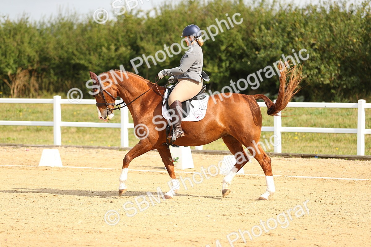 SBM_015447 - Class 14 - Novice 23 - 9.05-10.08