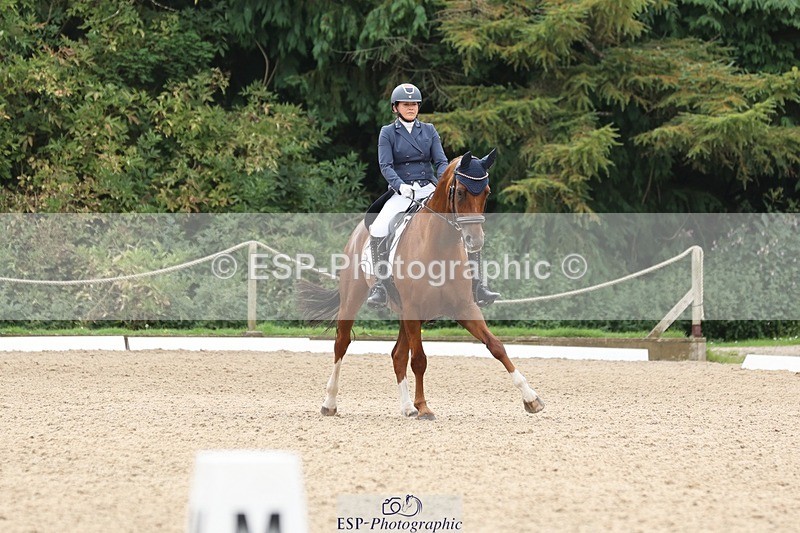 240810-140423-03430 - 110-Helen.Kitto-Da.Vinci.IV