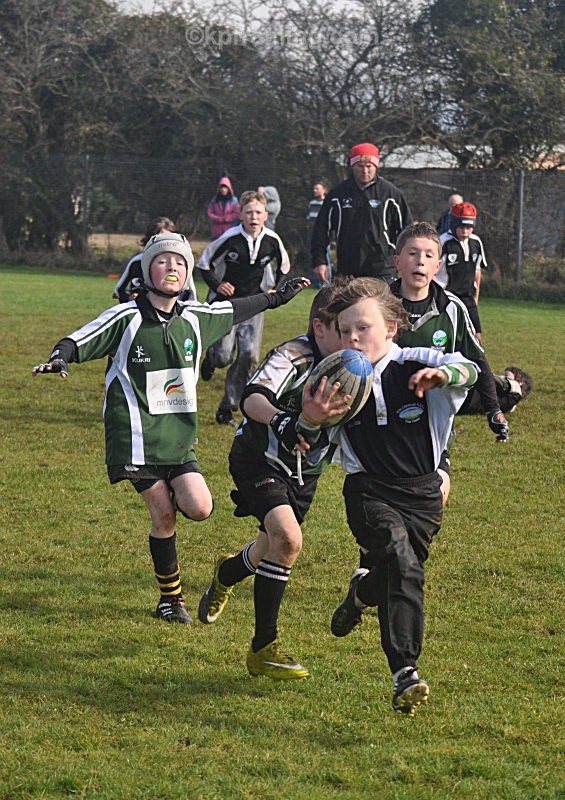  - sports  rugby soccer gaelic pics