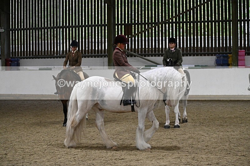 WJ7_4255 - Class 17 Ridden Cob