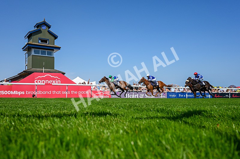 130826-Race 1-Not My Type-5232 - Race 1 14.15pm Racing TV Club Day EBF Fillies' Novice Stakes