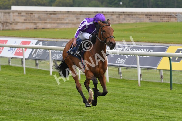 yr12052021r4-27 - Race 4 3.10pm Tattersalls Musidora Stakes