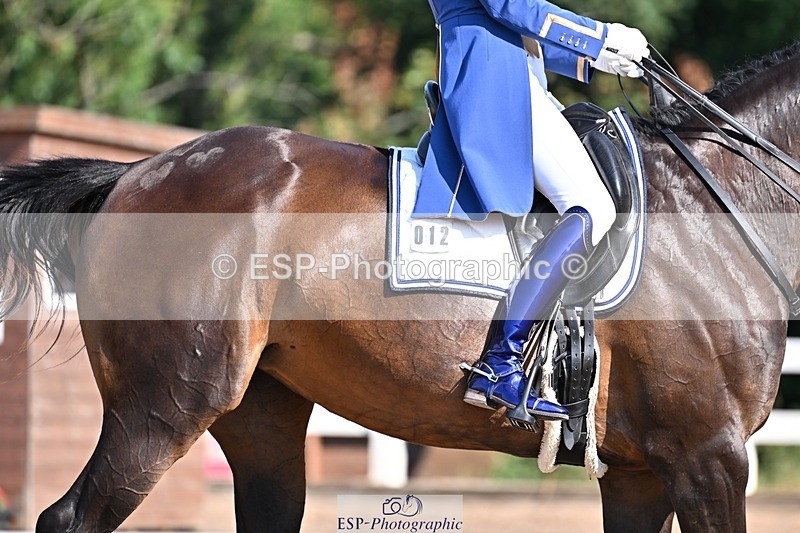 250816-094822-02355 - 012-Natasha.Collings-CostelloDovevale.Tender.Dove