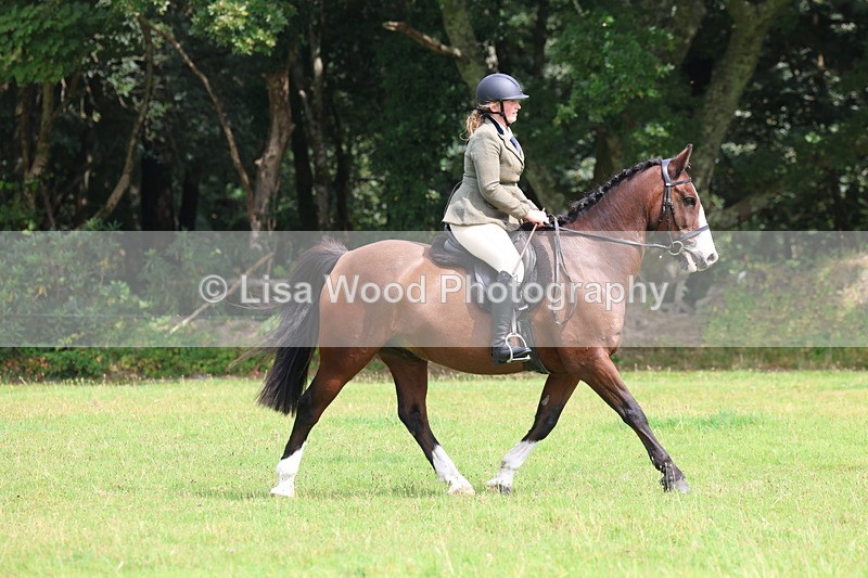 3E7A5848 - Class 26 and 27: 70cm Working Hunter