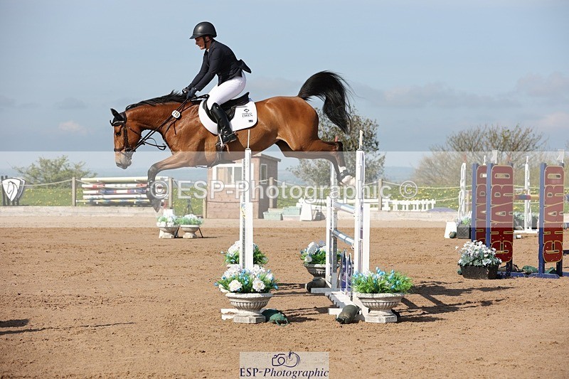 250427-095050-15096 - Cls 32 Young Horse 6yr old