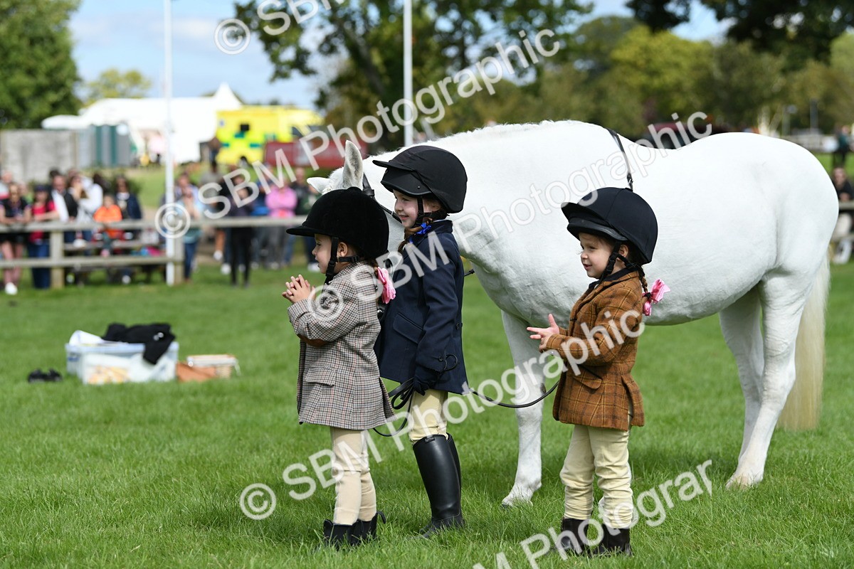 SBM_46808 - S12 - Family Horse & Pony