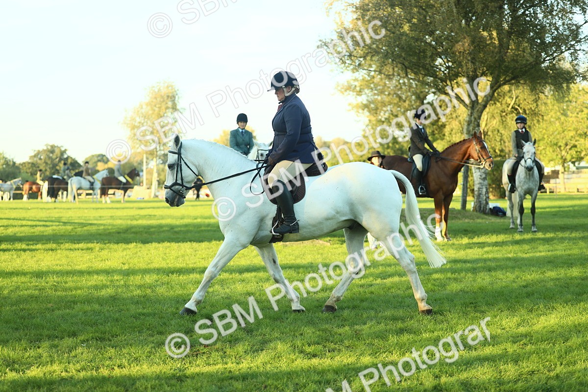 SBM_56429 - S14 - Riding Club Horse