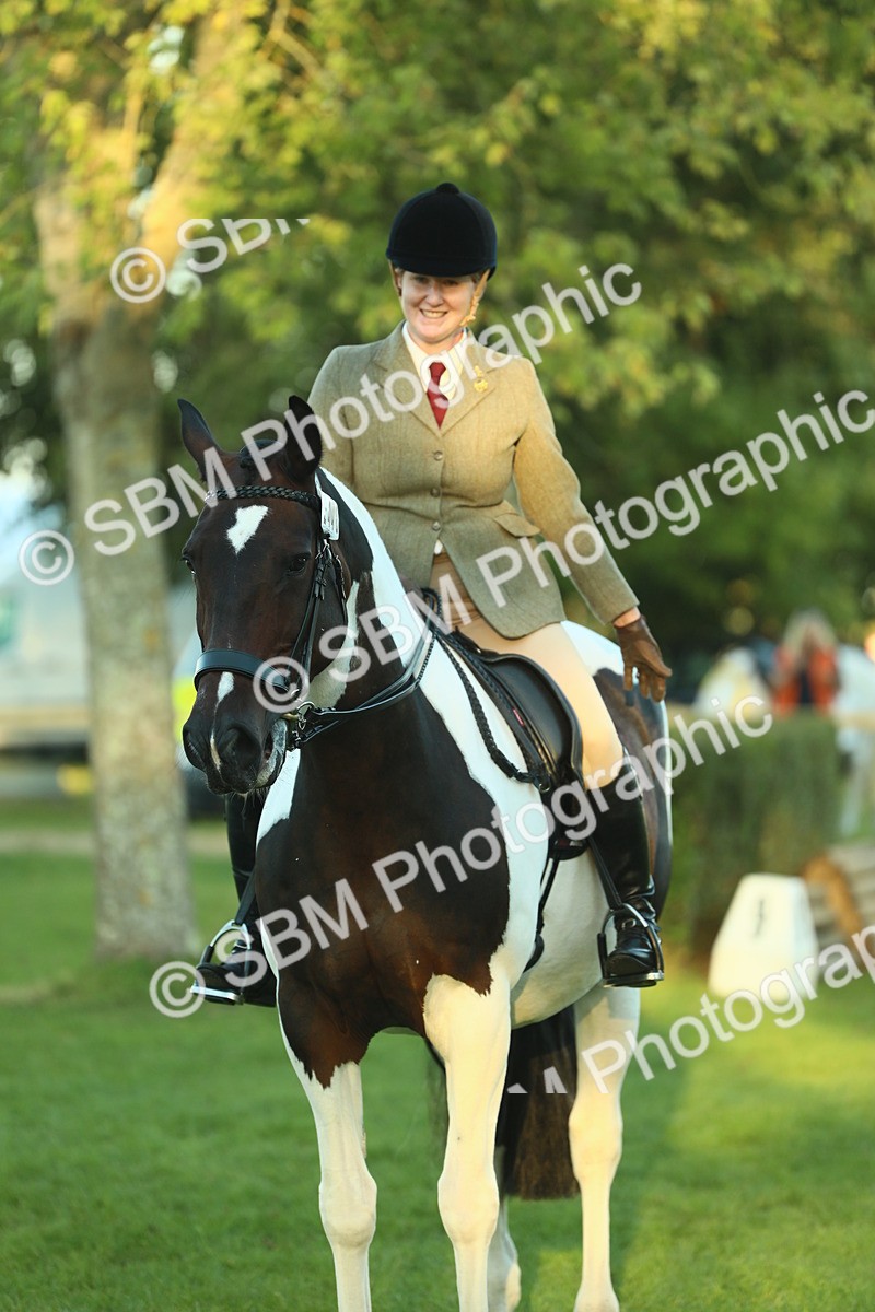 SBM_56507 - S14 - Riding Club Horse