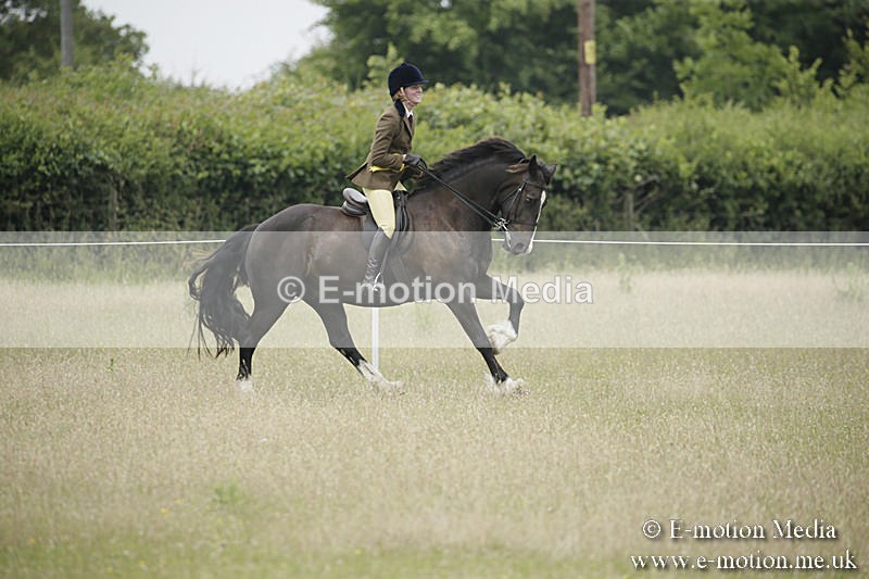B230619-0550 - Bourne Valley Riding Club Summer Show 23/06/19