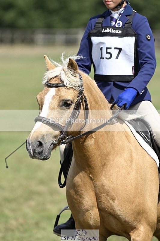 250821A-122533-15552 - DR 11.00 to 12.00