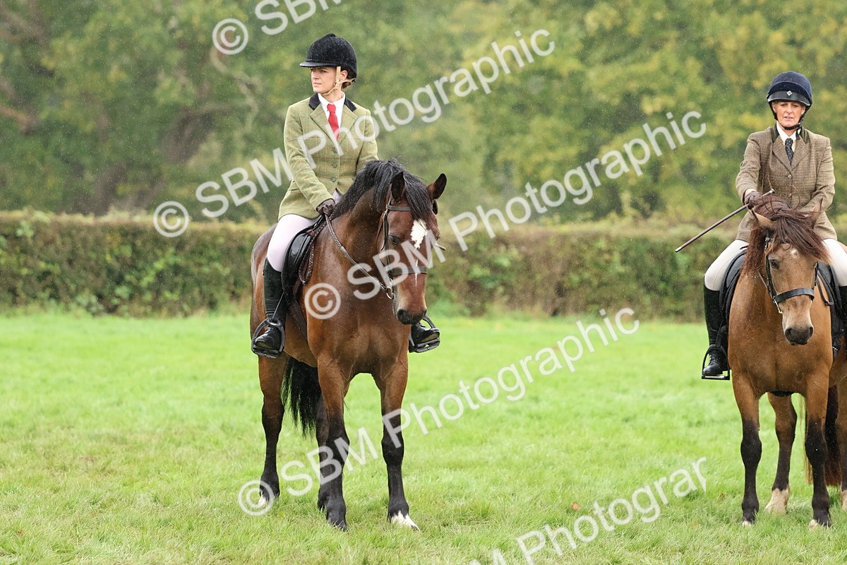 SBM_69712 - S62 - Mountain & Moorland Ridden Large Breeds