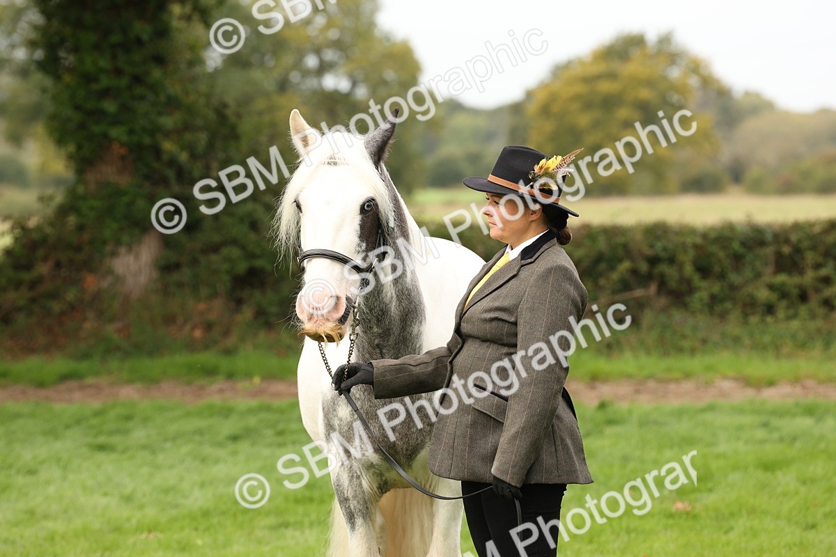 SBM_59339 - S57 - Traditional Cob In Hand