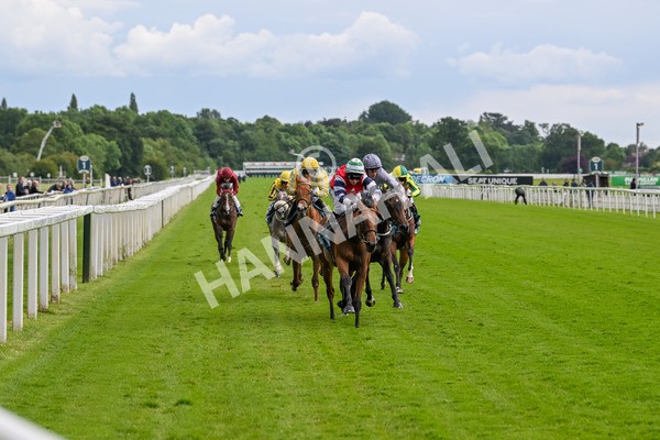 140624-Race 4-Havana Gila-4473 - Race 4 3.35pm Seat Unique Ganton Stakes