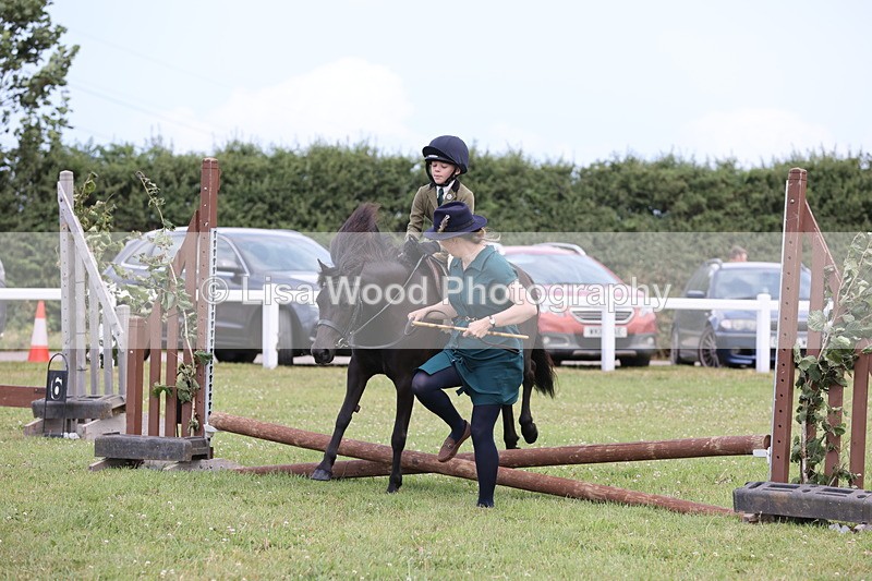 JPP_1786 - Class 18: Tiny Tots Working Hunter Pony