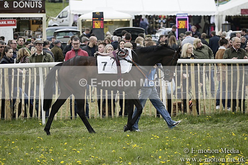 PtP 170417 486 - Old Berks Point-to-Point Lockinge 17/04/17