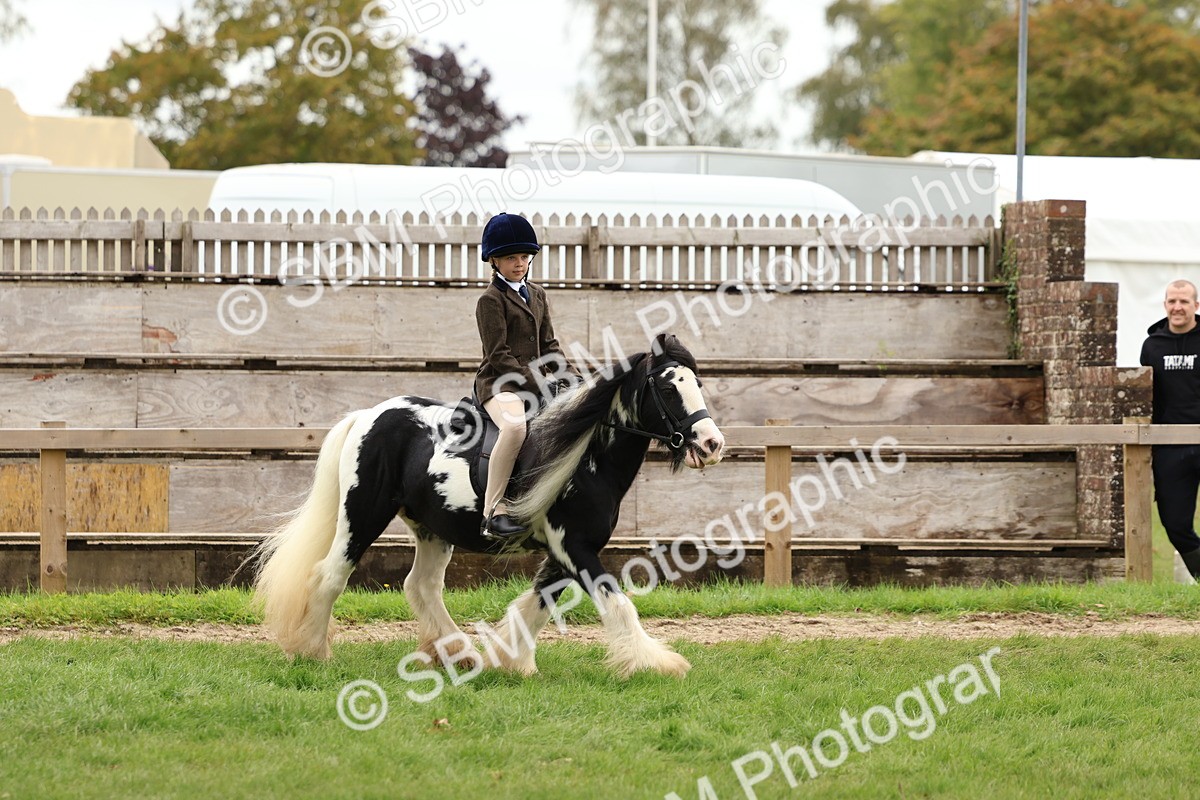 SBM_64534 - S58 - Coloured Pony Ridden