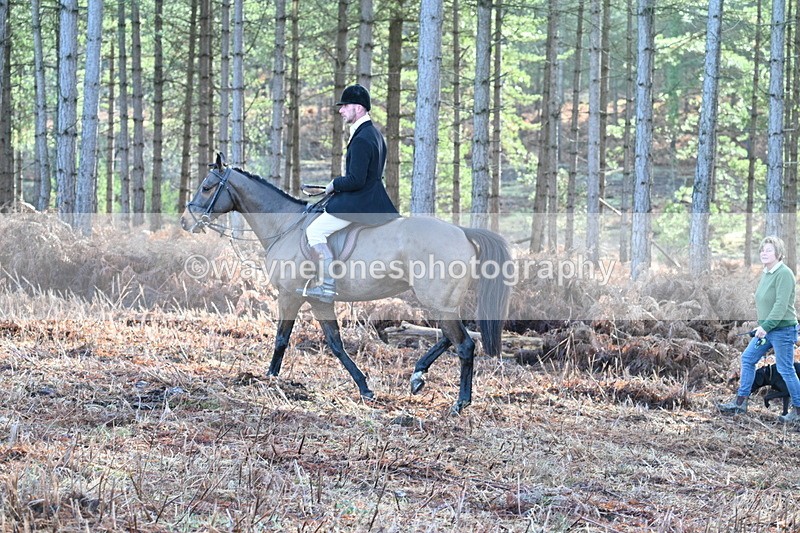 WJ7_7212 - Line 3 (no line 4 or 5)