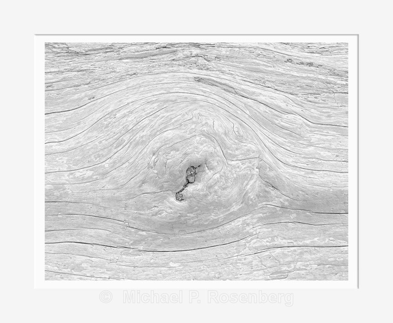 Driftwood #2, Rialto Beach WA (2014/D00772) - CALIFORNIA, OREGON, AND WASHINGTON STATES