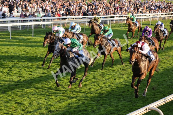 yr08102021r7-25 - Race 7 5.25pm The IRE Incentive, It Pays To Buy Irish Handicap