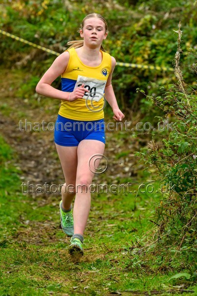 WestRLY25-911489 - Young Female Set One