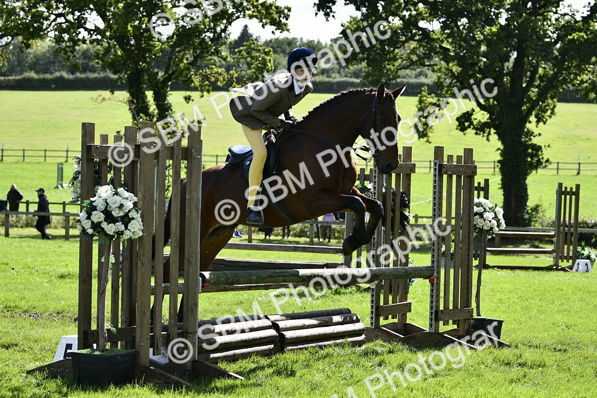SBM_45704 - S33 - Working Hunter Pony
