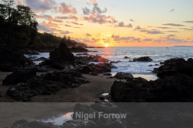 Sunset Beach, Copa de Arbol, Osa Peninsula, Costa Rica - Costa Rica