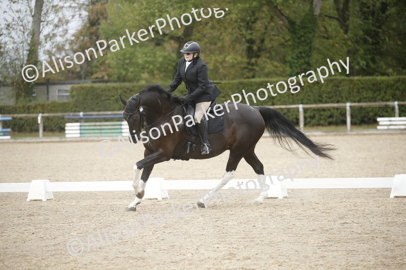 20260913-0533 - Class 4 - Novice 6