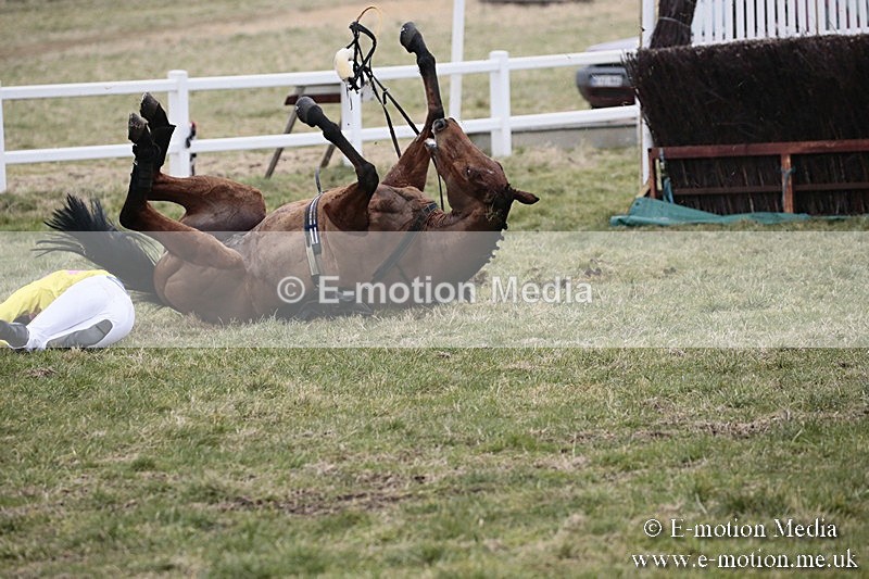 PtP 180218 288 - Combined Services Point-to-Point Larkhill 18/02/18