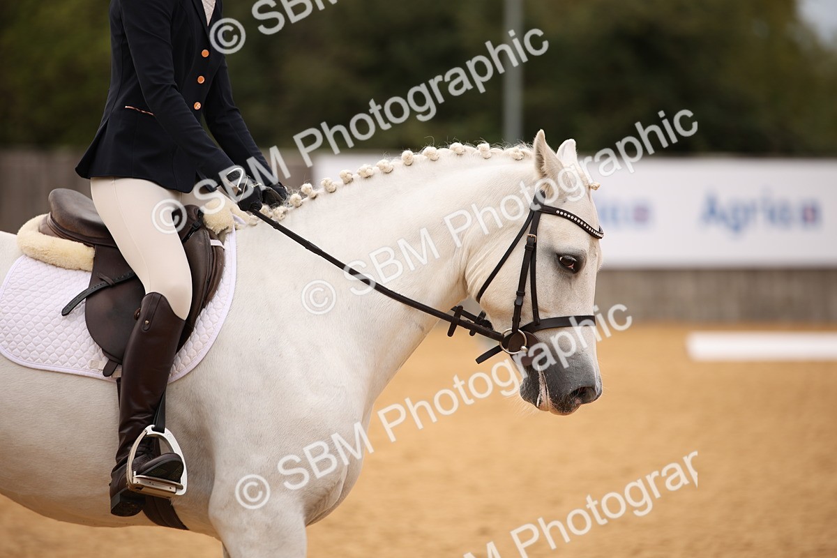 SBM_12250 - D3 Small  Tour Championship Intro A