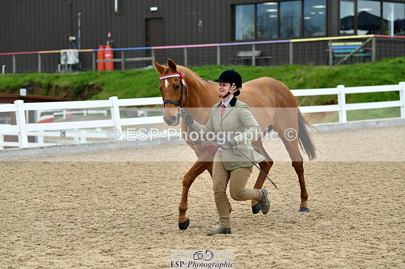 230416A-115155-04213 - Cls 47 In Hand Racehorse to Showhorse