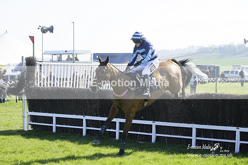 PtP 190322 233 - Wilton Hunt PtP Milborne St Andrew 19/03/22