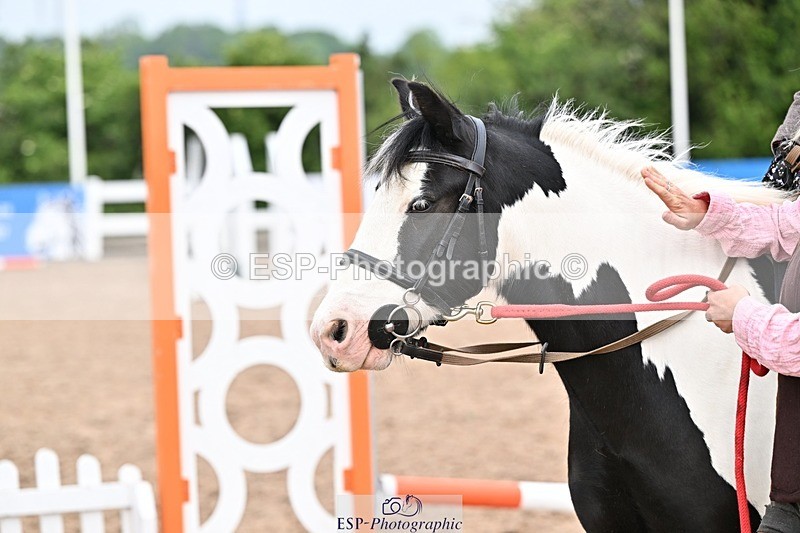 250517-084429-00179 - 30cm