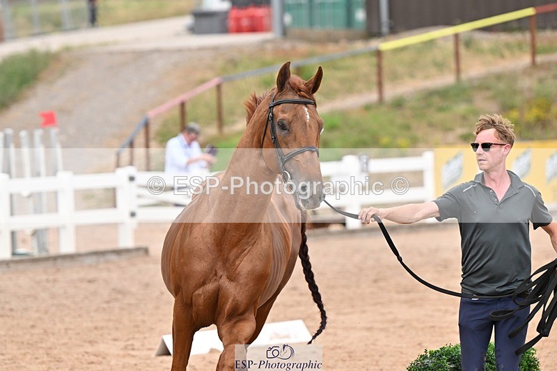 250716-163832-02698 - Trot Up 4.30 to 5.00