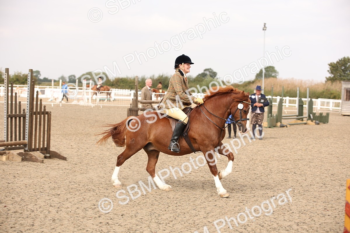 SBM_12270 - Class 405a - M&M Working Veteran 50cm (15-19)