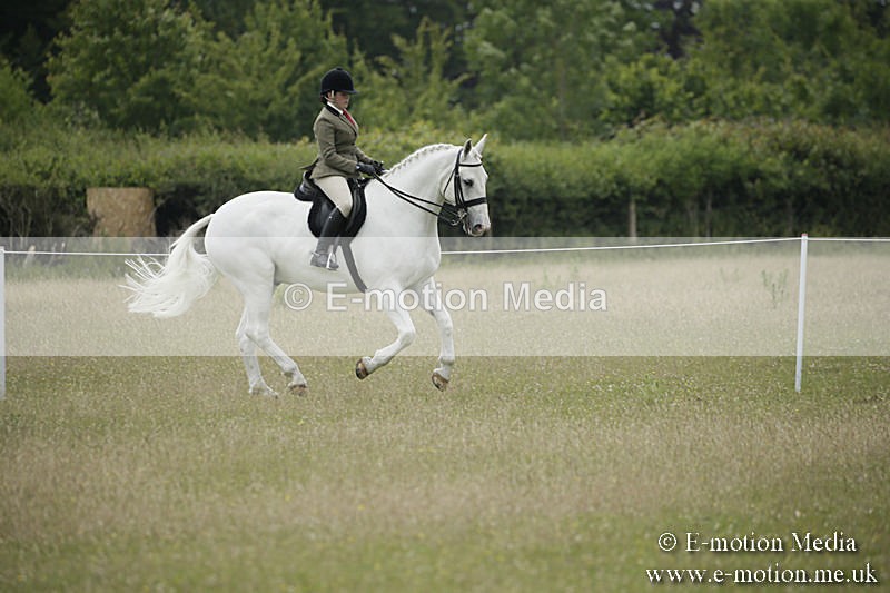 B230619-0713 - Bourne Valley Riding Club Summer Show 23/06/19