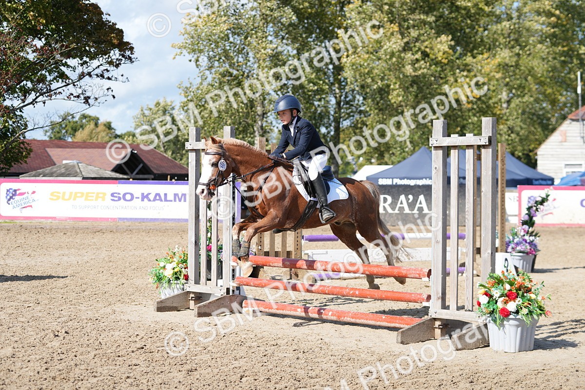 SBM_46528 - J7 - Junior Pony 60cm Championship