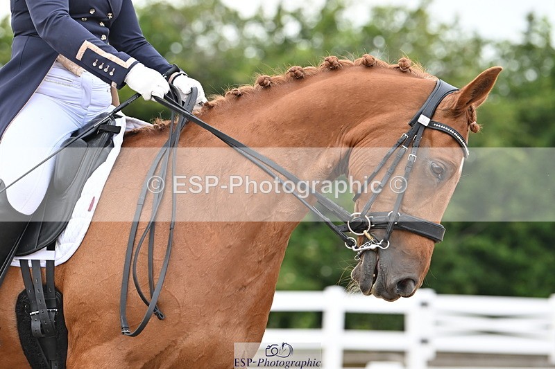 240621A-182838-06260 - Cls 17 BD FEI PSG