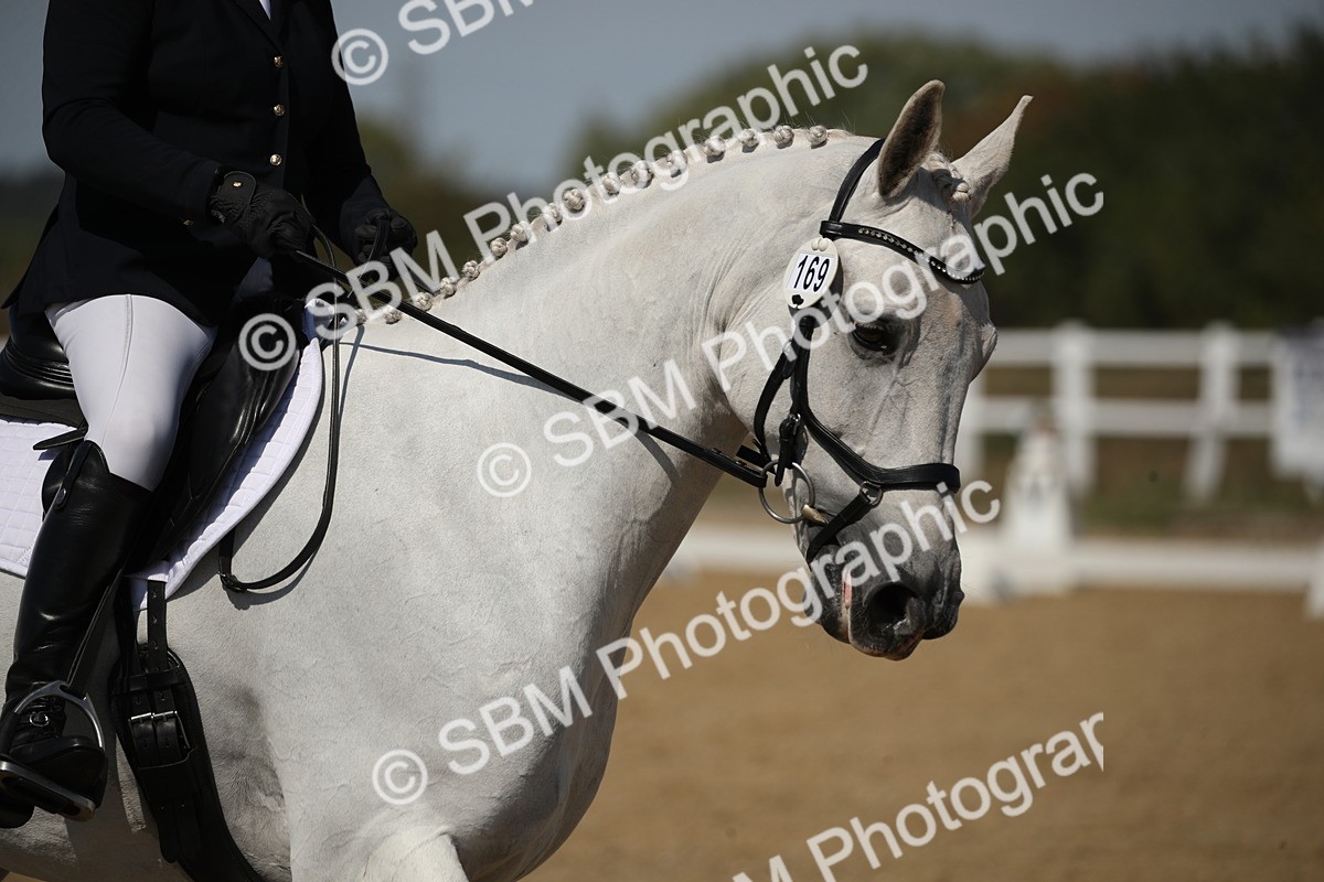 SBM_005044 - Class 11 - Novice 5 - 11.41-12.58