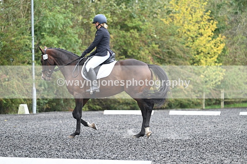 WJ7_3823 - Time 11:04 to 11:38