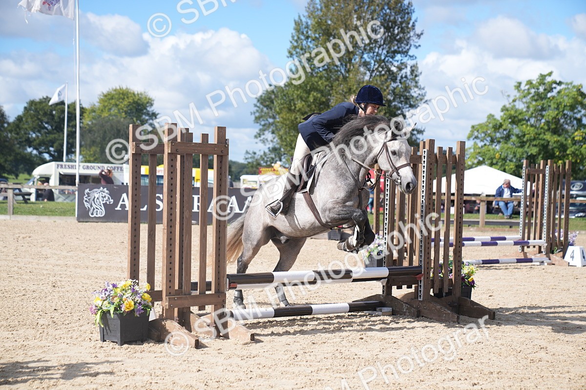 SBM_02516 - J54 Clear Round 45cm