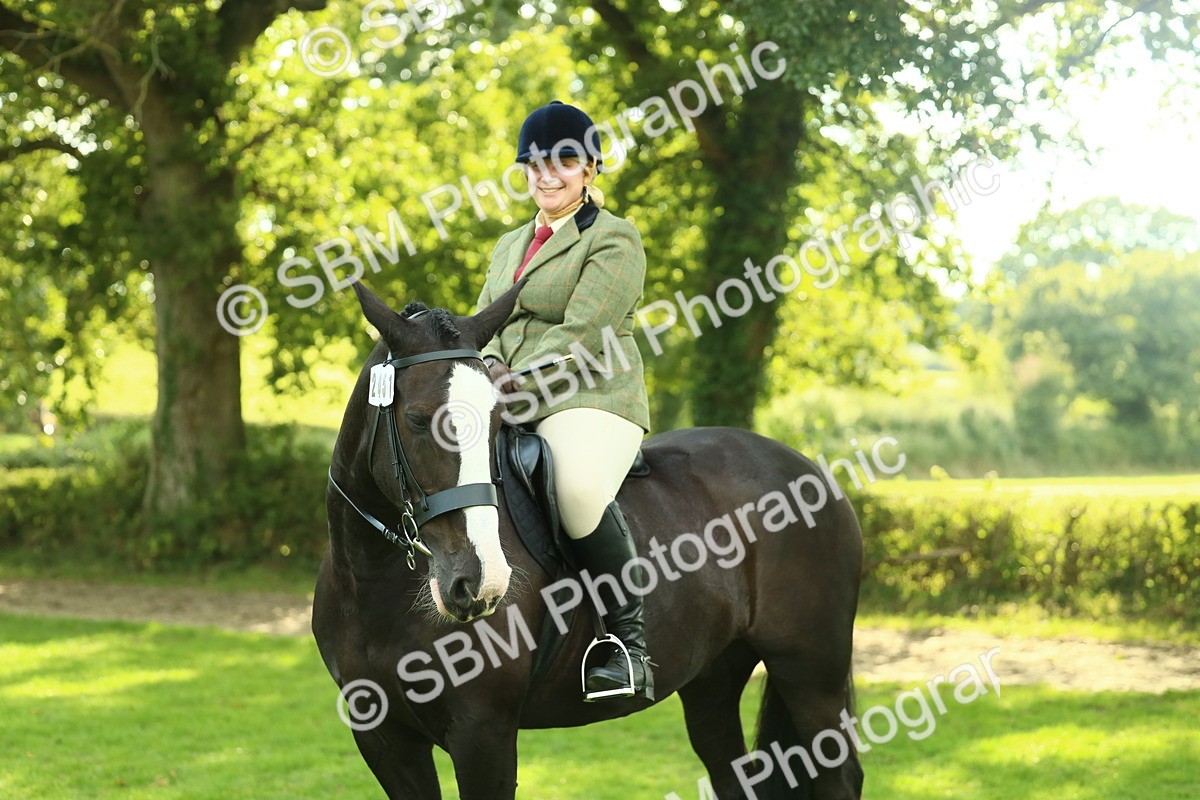 SBM_52194 - S33 - Working Hunter & Working Show Horse
