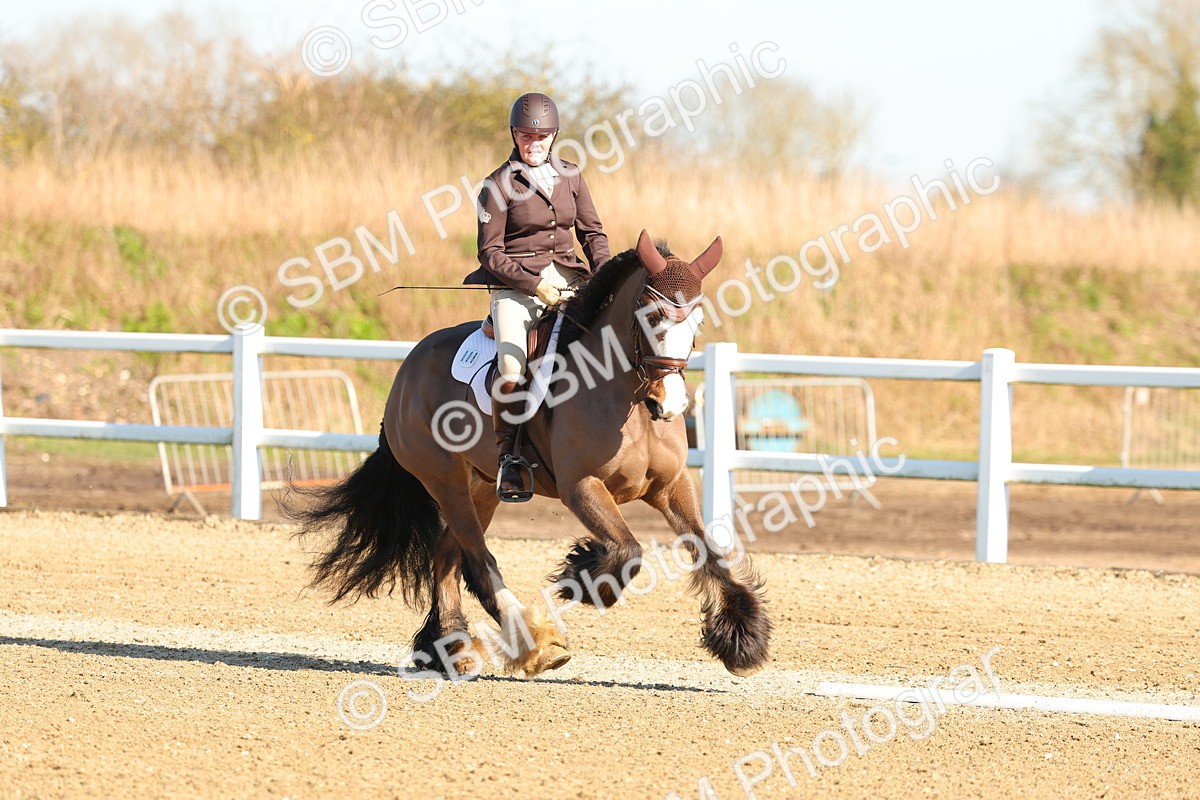 SBM_003478 - Class 4 - N1-80cm