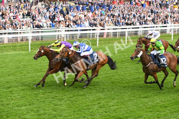 yr21052022r3-12 - Race 3: 3:30pm William Hill Best Odds Guaranteed Stakes