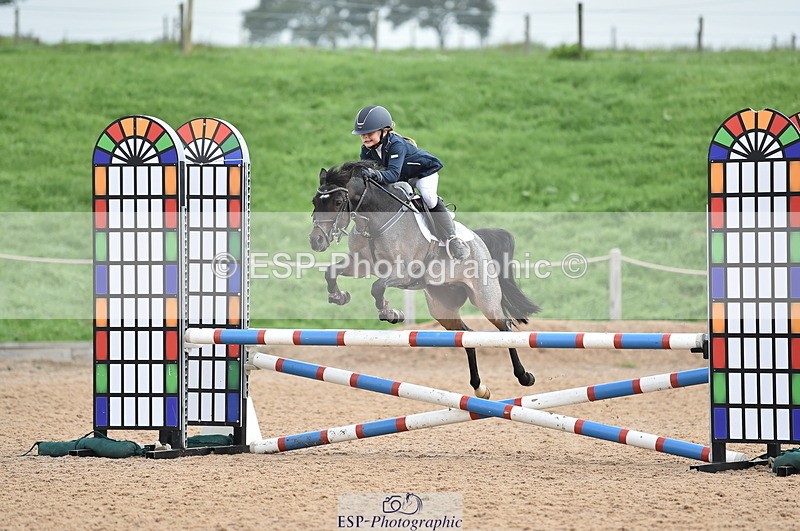 230902A-112004-00672 - Cls 2B Pony Small 80cm