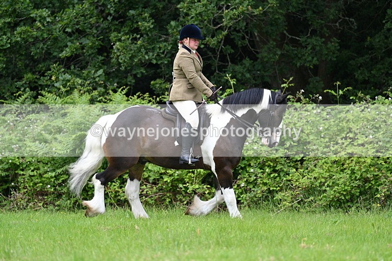 WJ7_2314 - Class 12A Coloured Class
