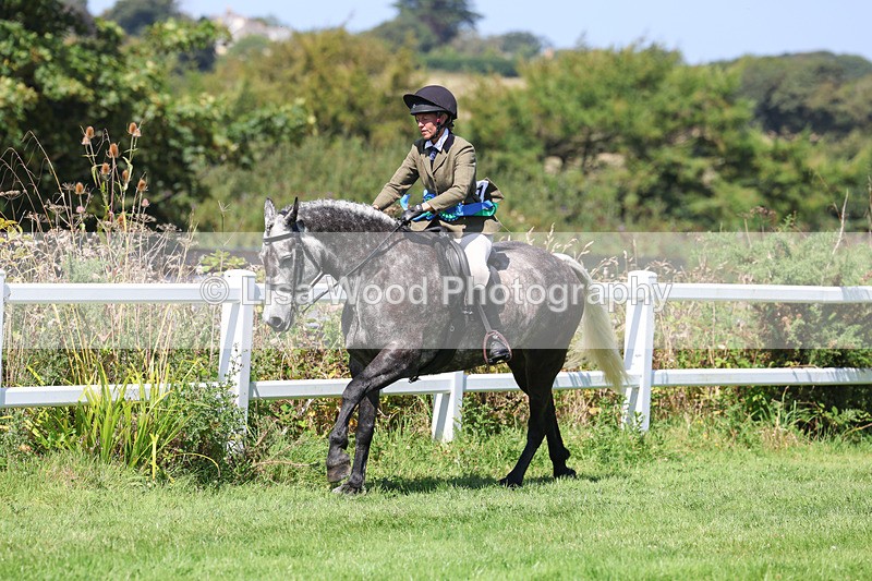 3E7A9239 - Working Hunter Championship